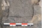 Foto (Detailansicht) von Dictyophyllum acutilobum Schenk. (NHMW-GEO-2024-0188-10507)